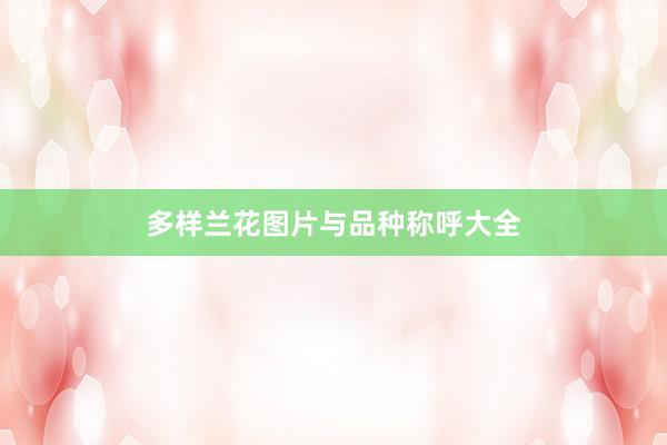 多样兰花图片与品种称呼大全